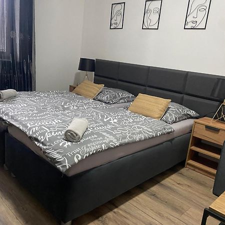 Cerna Ruze - Apartman 4 比尔森 外观 照片