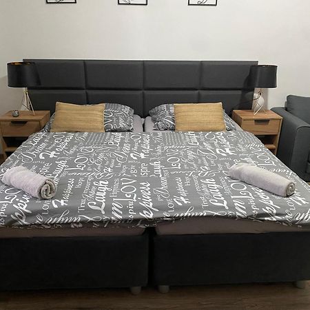 Cerna Ruze - Apartman 4 比尔森 外观 照片
