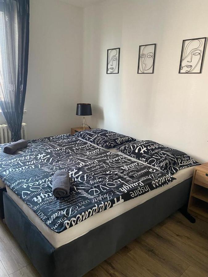 Cerna Ruze - Apartman 4 比尔森 外观 照片