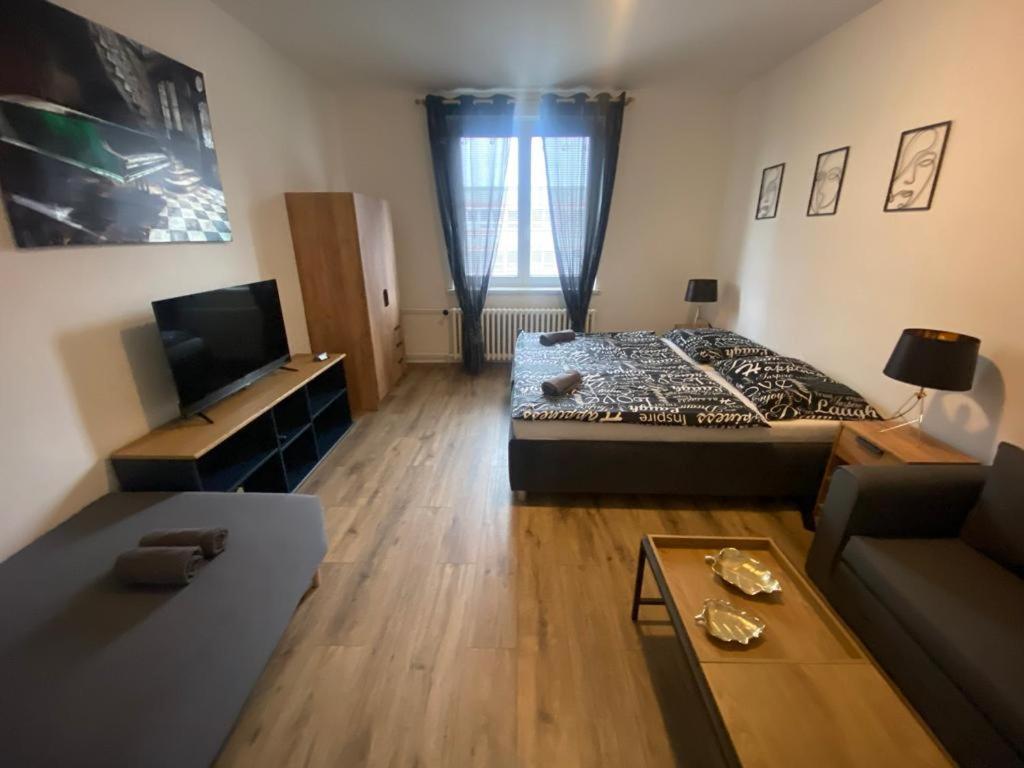 Cerna Ruze - Apartman 4 比尔森 外观 照片