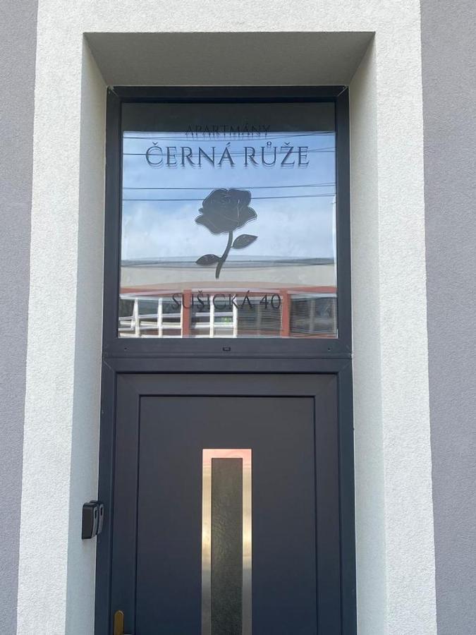 Cerna Ruze - Apartman 4 比尔森 外观 照片