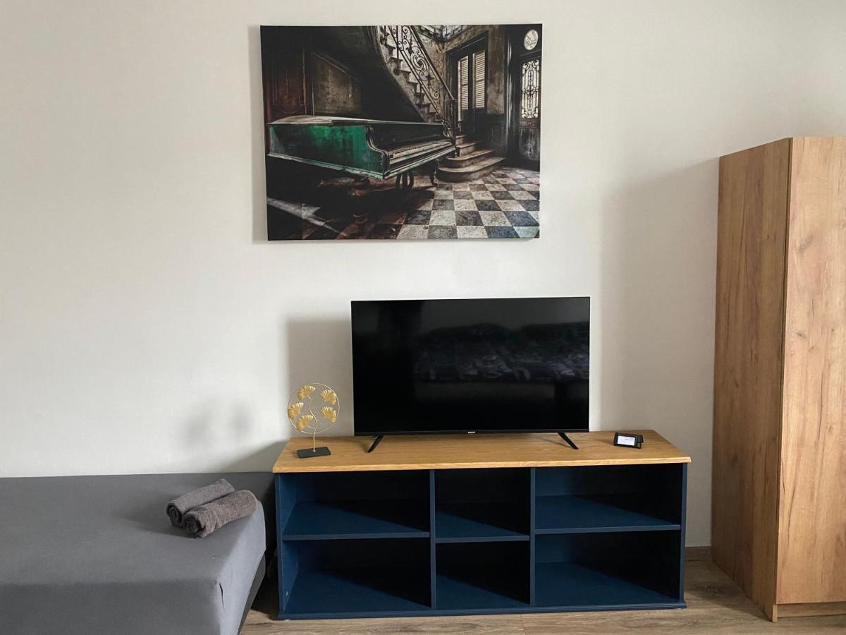 Cerna Ruze - Apartman 4 比尔森 外观 照片