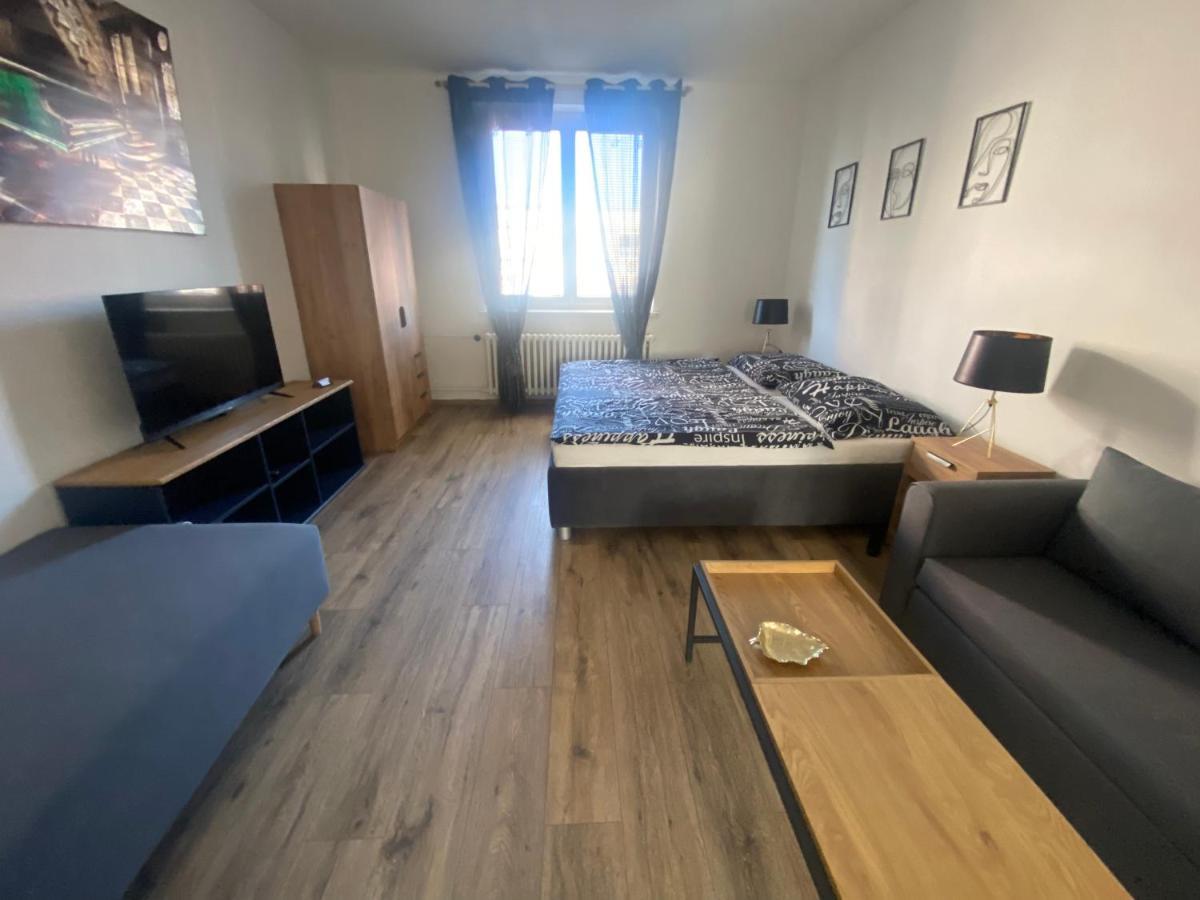 Cerna Ruze - Apartman 4 比尔森 外观 照片