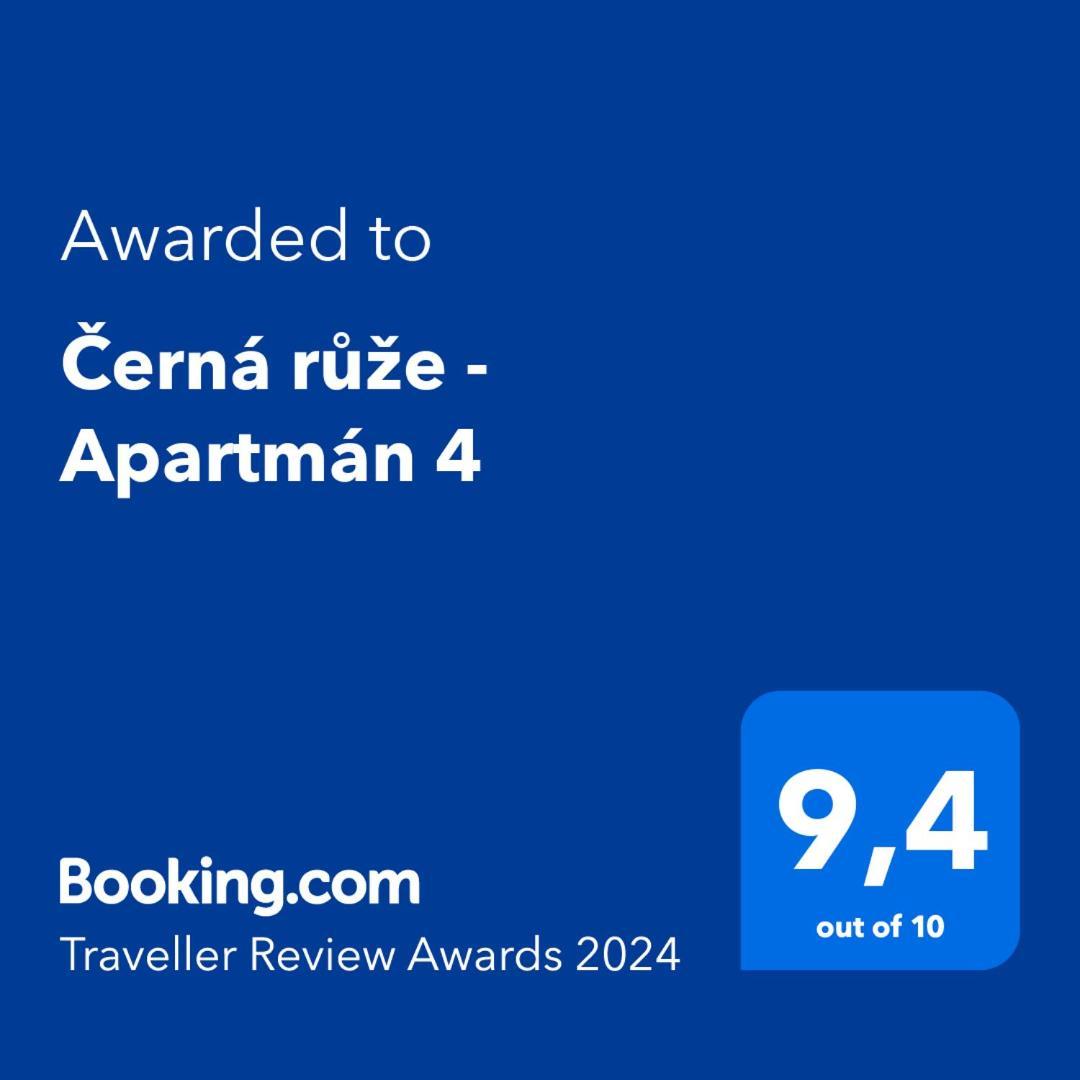 Cerna Ruze - Apartman 4 比尔森 外观 照片